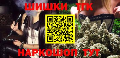 мдпв Славгород
