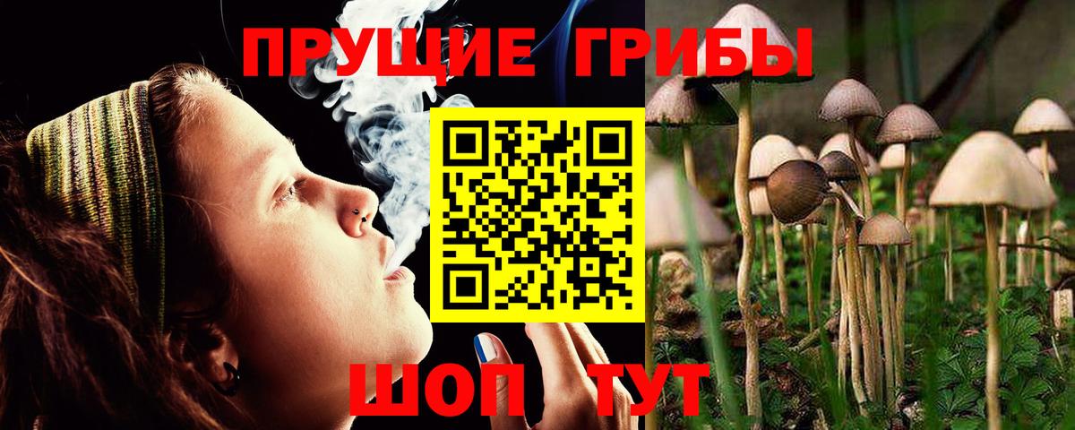 Белово  Псилоцибиновые грибы MAGIC MUSHROOMS  Галлюциногенные грибы MAGIC MUSHROOMS  что такое   Вход с VPN 